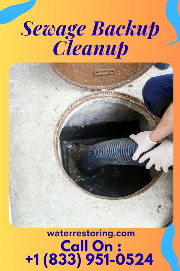 Sewage Backup Cleanup in Quinton, OK